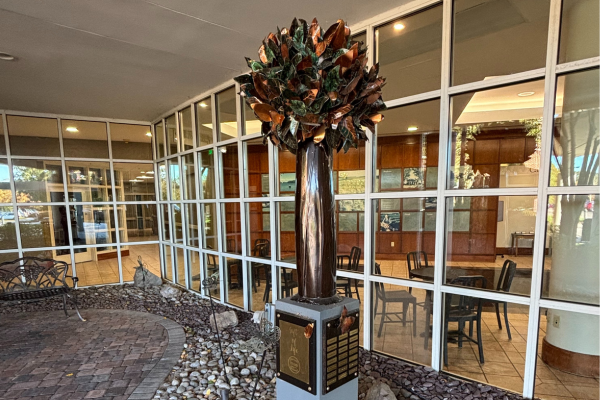 Bon Secours Memorial Regional