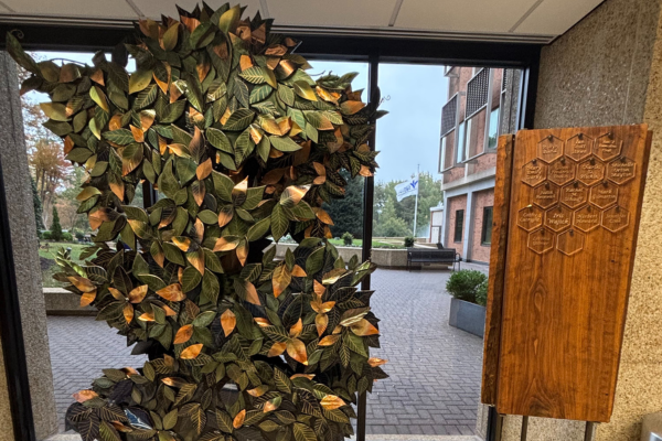 Bon Secours St. Marys